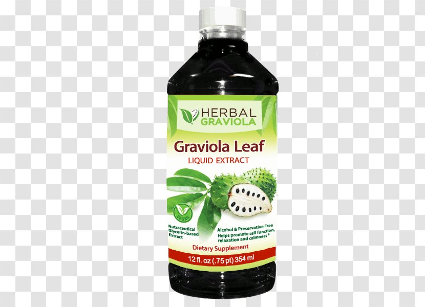 Soursop Vegetarian Cuisine Tea Extract Juice - Leaf Vegetable Transparent PNG
