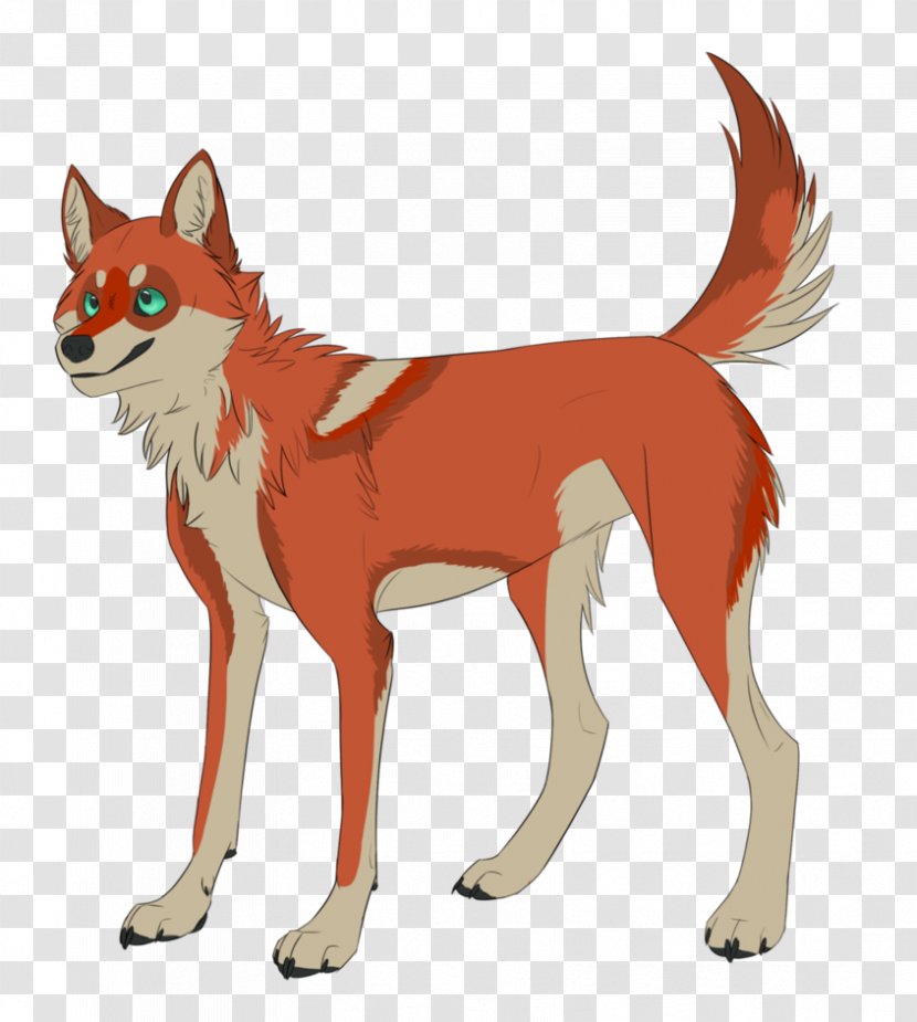 Red Fox Dog Dhole Jackal Wolf Transparent PNG