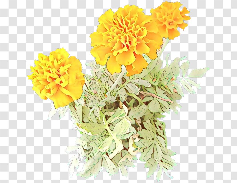 Flower Tagetes Yellow English Marigold Plant - Patula - Zinnia Petal Transparent PNG