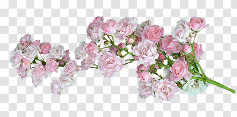 Cut Flowers - Flowering Plant - Flower Transparent PNG