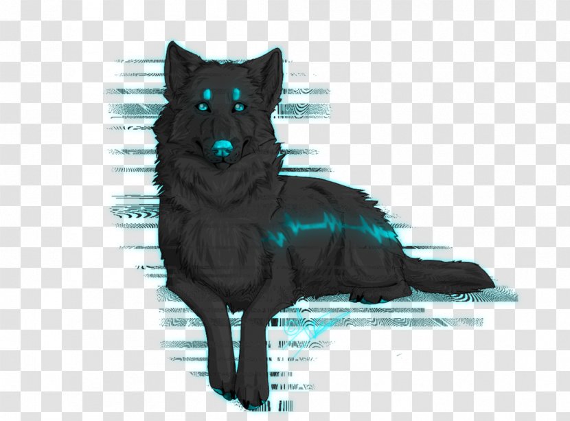 Dog Breed Schipperke Snout Fur - Itching Transparent PNG