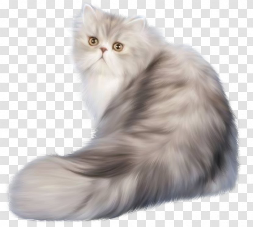 Cat Kitten Animation Clip Art - Pet - Cats Transparent PNG