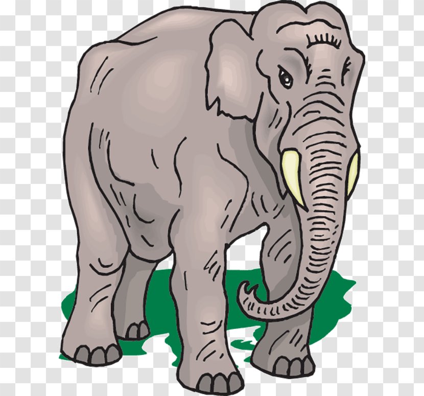 Asian Elephant African Clip Art Transparent PNG