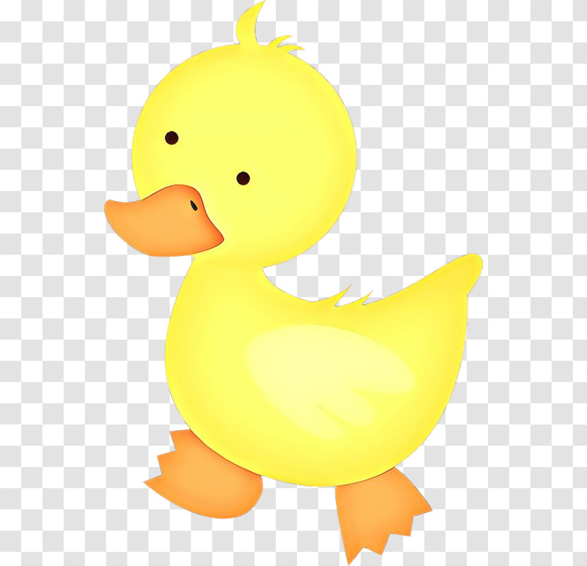 Duck Ducks, Geese And Swans Bird Yellow Water Bird Transparent PNG