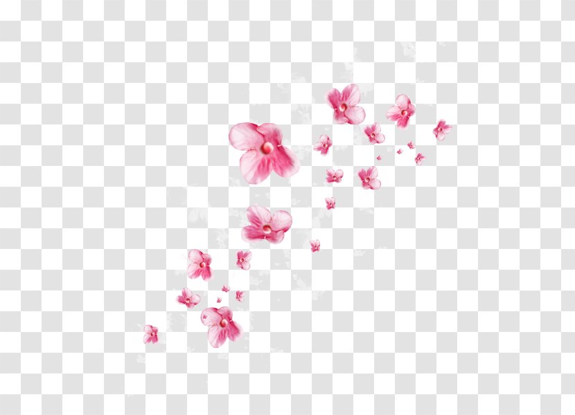 Google Images Download - Blossom - Eceregelungen Transparent PNG