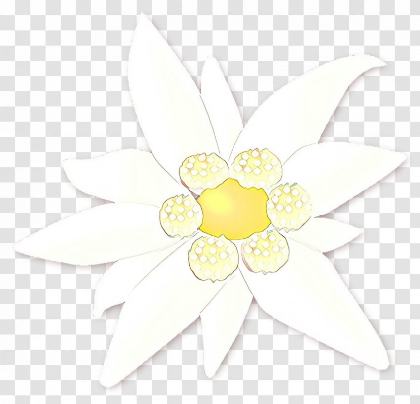 Flowers Background - Wildflower - Wheel Transparent PNG