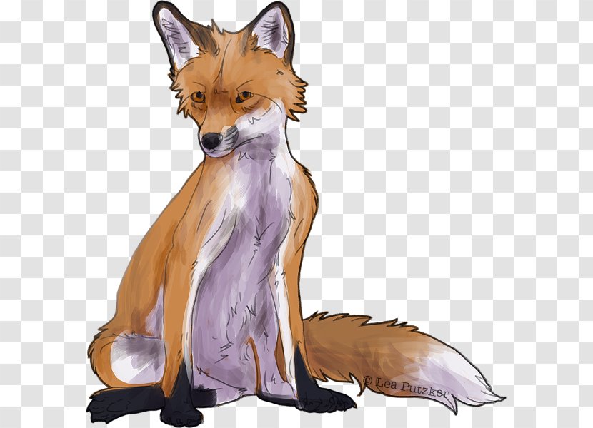 Red Fox Fur Wildlife Tail Character - Carnivoran - Terry Day Transparent PNG