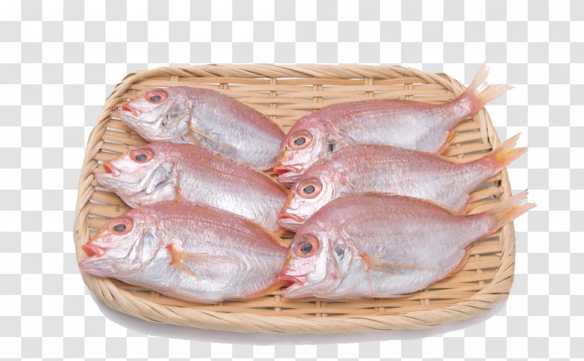 Fish Seafood - Creative Work - Fresh Transparent PNG