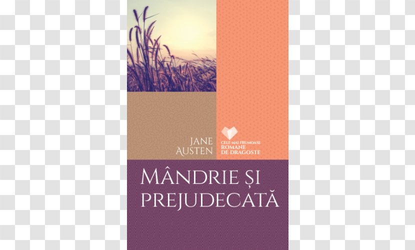 Pride And Prejudice Elizabeth Bennet Book Fiction Novel - Jealousy - Jane Austen Transparent PNG