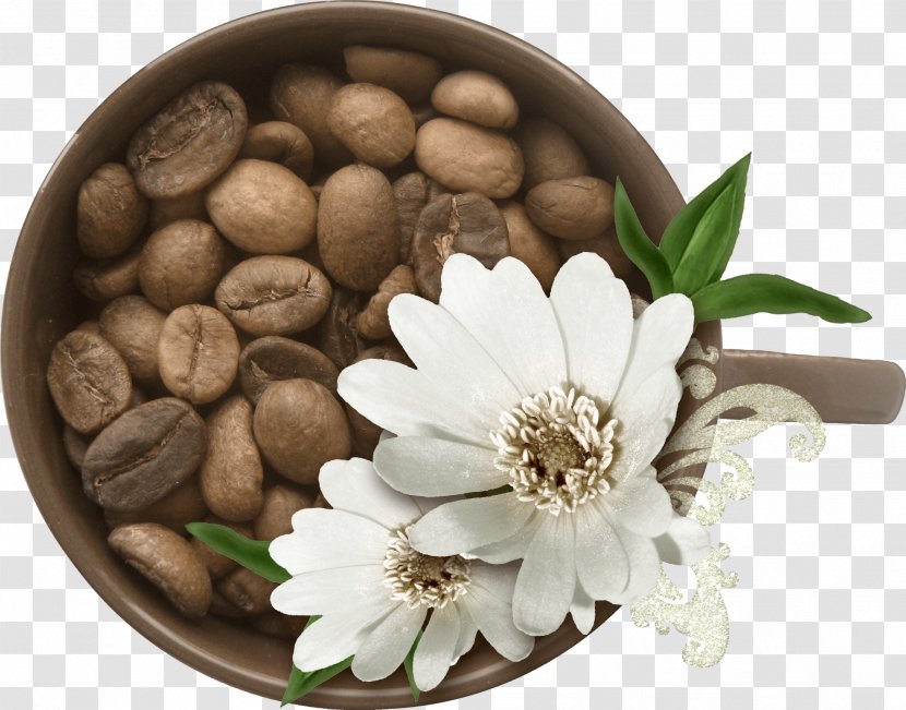 Coffee Tea Cafe Clip Art - Flower - Quality Beans Transparent PNG