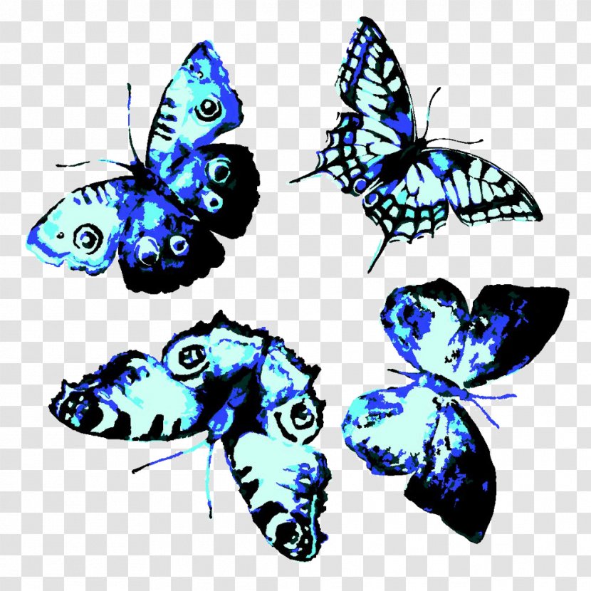 Butterfly Watercolor Painting - Moths And Butterflies - Blue Transparent PNG