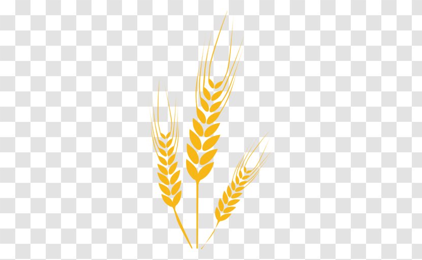 Wheat Drawing - Wing Transparent PNG
