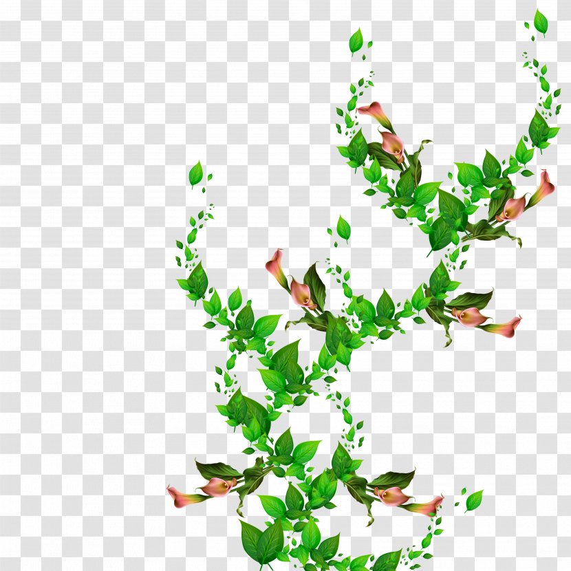 Clip Art Plant Stem Leaf Flowering - Twig Transparent PNG