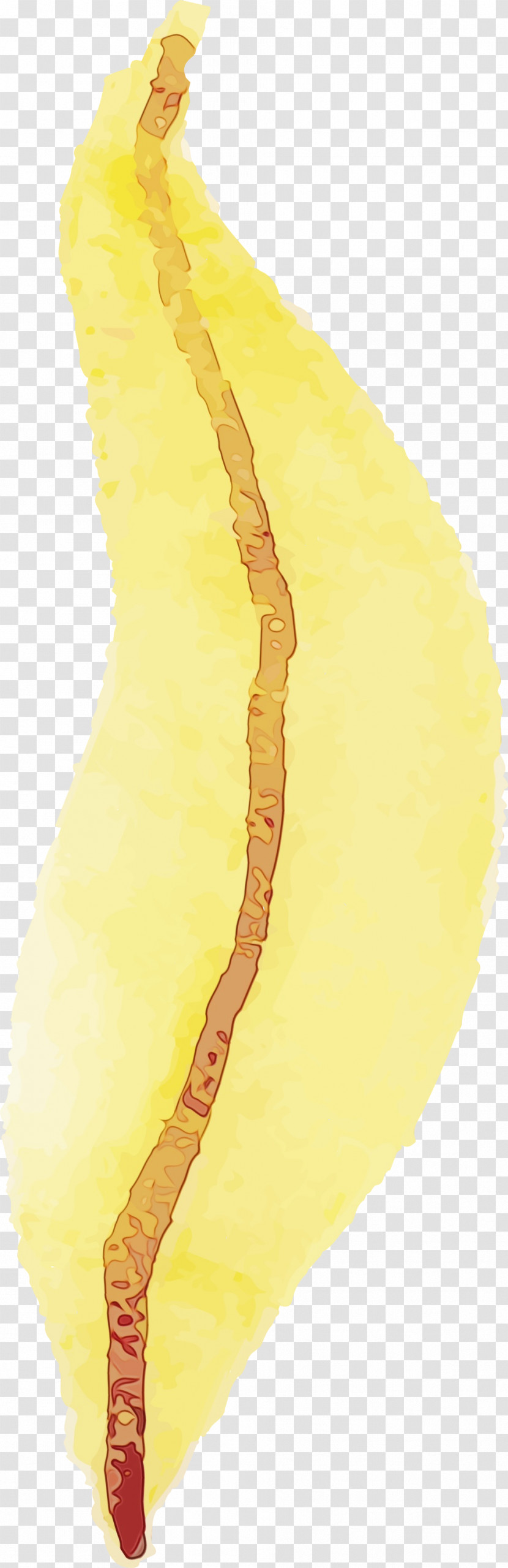 Yellow Biology Science Transparent PNG