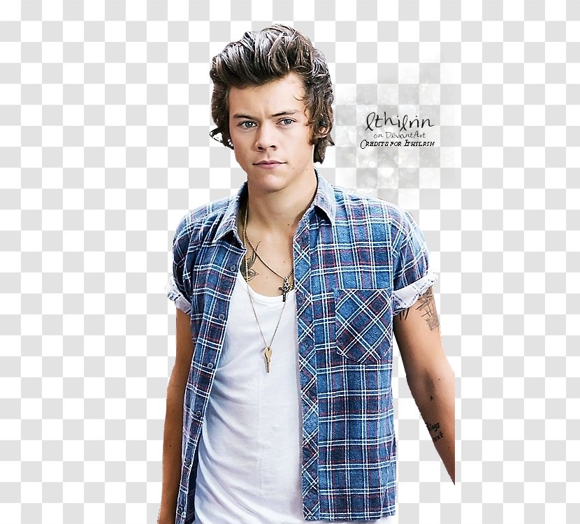 Harry Styles: Live On Tour One Direction Photography - Fashion Model - Styles Transparent PNG