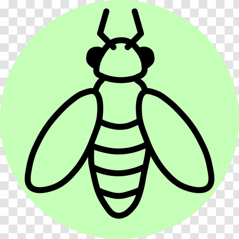 Insect Honey Bee Entomology Pest Clip Art Transparent PNG