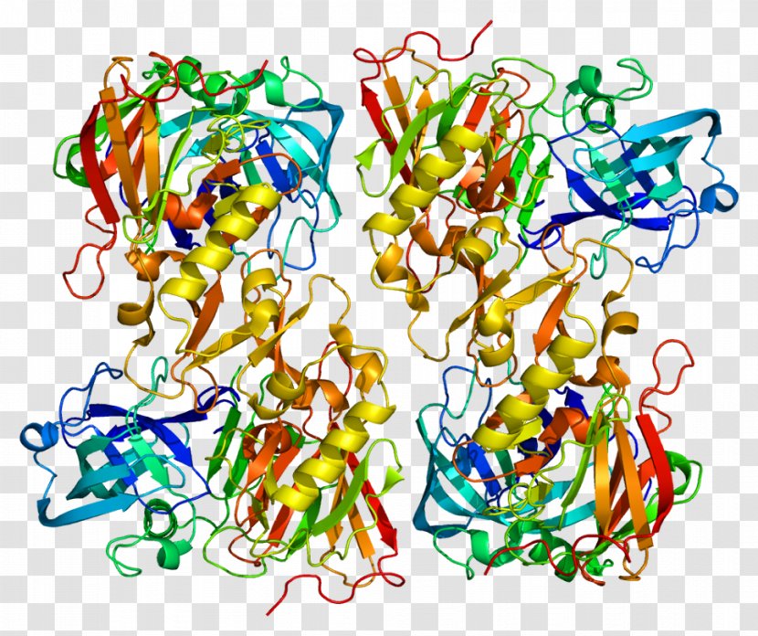 Beta-secretase 2 Protein Serpin 1 Semenogelin - Tree - Watercolor Transparent PNG