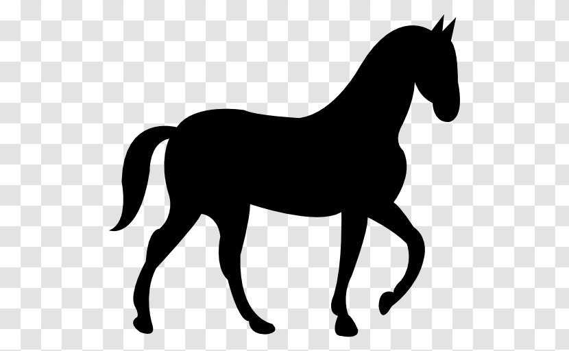 Riding Pony Silhouette Clip Art - Foal Transparent PNG