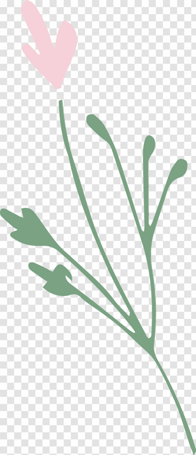 Plant Stem Petal Leaf Flower Plants Transparent PNG