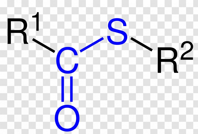 Dimethyl Sulfoxide Methylsulfonylmethane Methyl Group Functional Sulfide - Malonylcoa Transparent PNG