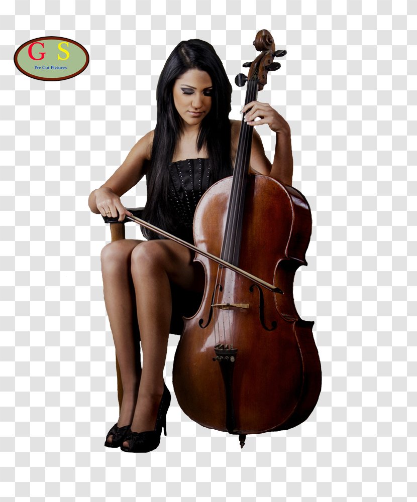 Bass Violin Double Violone Cello Viola - Heart Transparent PNG
