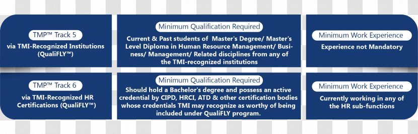 Talent Management Organization Leadership Consultant - Technical Standard Transparent PNG