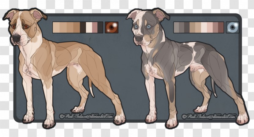 American Pit Bull Terrier Dog Breed Non-sporting Group - Staffordshire Transparent PNG