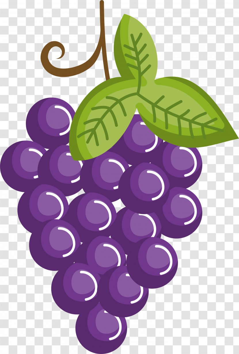 Grape Drawing Cartoon Fruit - Healthy Diet - Purple Grapes Transparent PNG