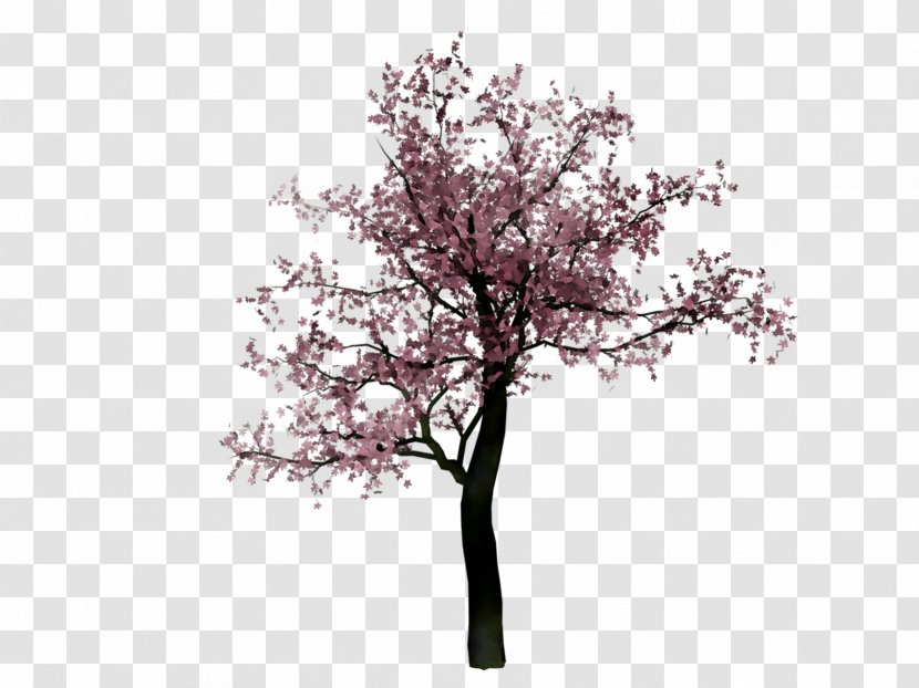 ST.AU.150 MIN.V.UNC.NR AD Cherry Blossom Purple Cherries - Flower - Branch Transparent PNG