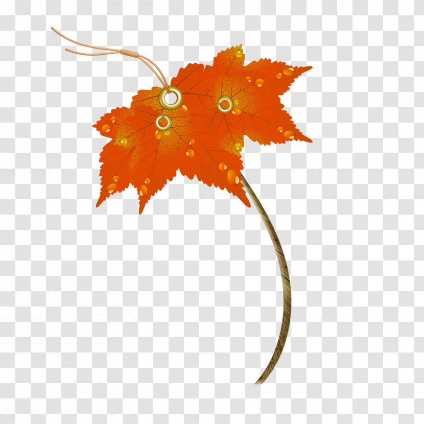 Maple Leaf Image Autumn Umbrella - Color Transparent PNG