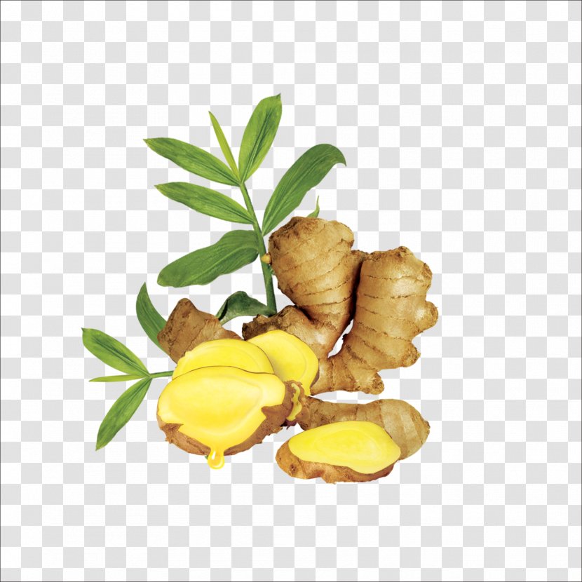 Ginger Oil Human Hair Growth Extract - Fruit Transparent PNG