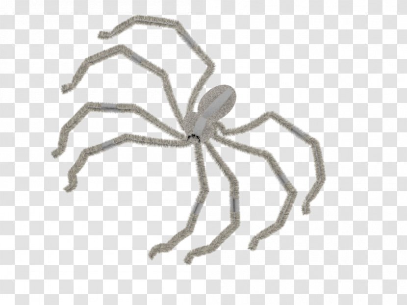 Insect Line Arachnid Pest - Spider Transparent PNG