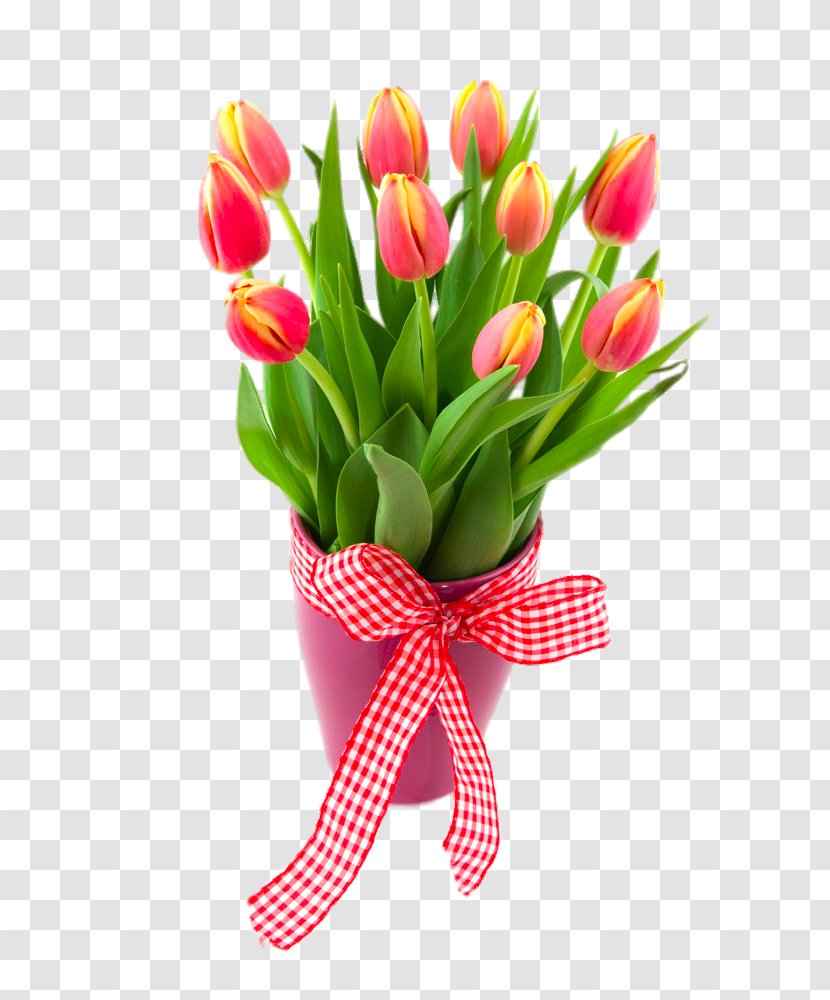 Tulip Flowerpot - Seed Plant - Potted Tulips Transparent PNG