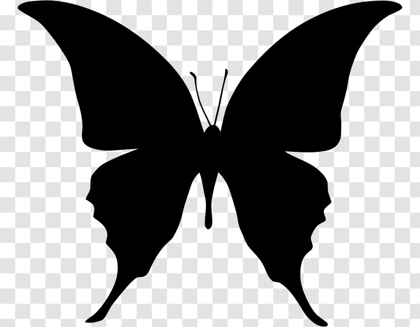 Silhouette Butterfly Clip Art - Brush Footed Transparent PNG