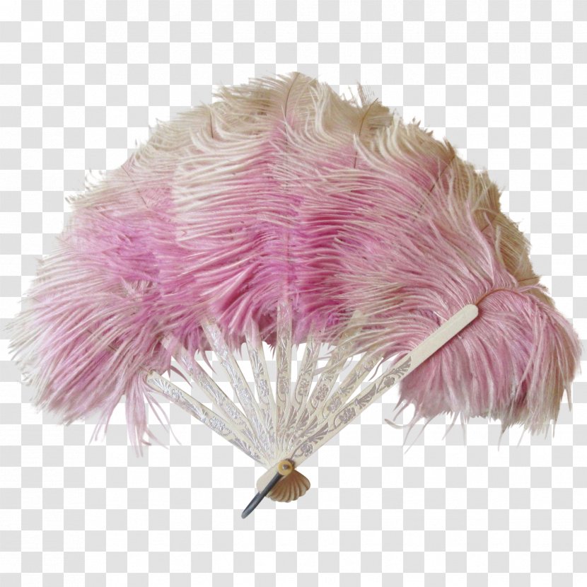 Common Ostrich Feather Boa Purple Lavender Transparent PNG