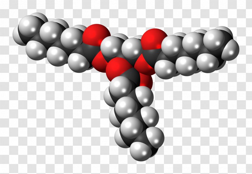 Triglyceride Space-filling Model Stearin Fatty Acid Glycerol - Molecule - Hydrogen Transparent PNG