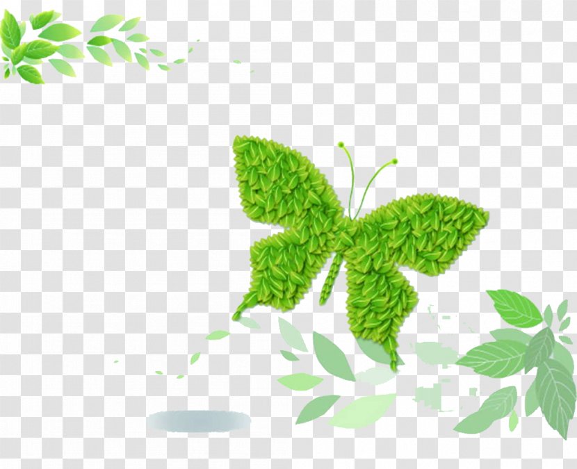 Green - Pollinator - Butterfly Transparent PNG