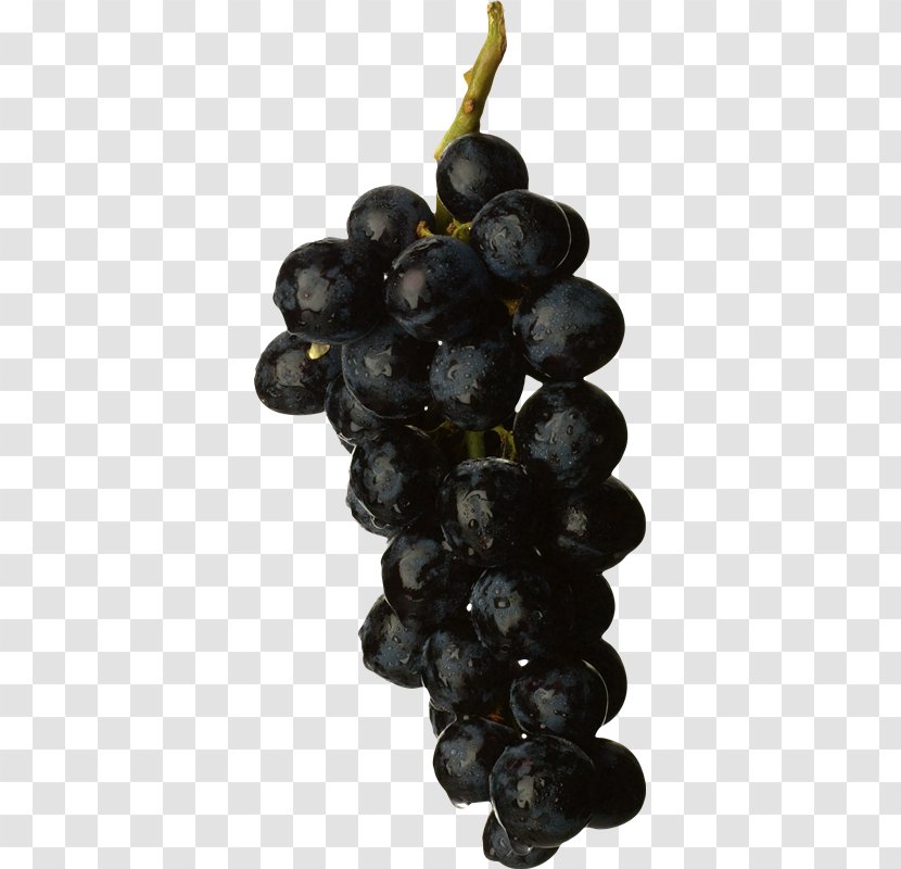 Grape White Wine Image File Formats - Grapevine Family Transparent PNG