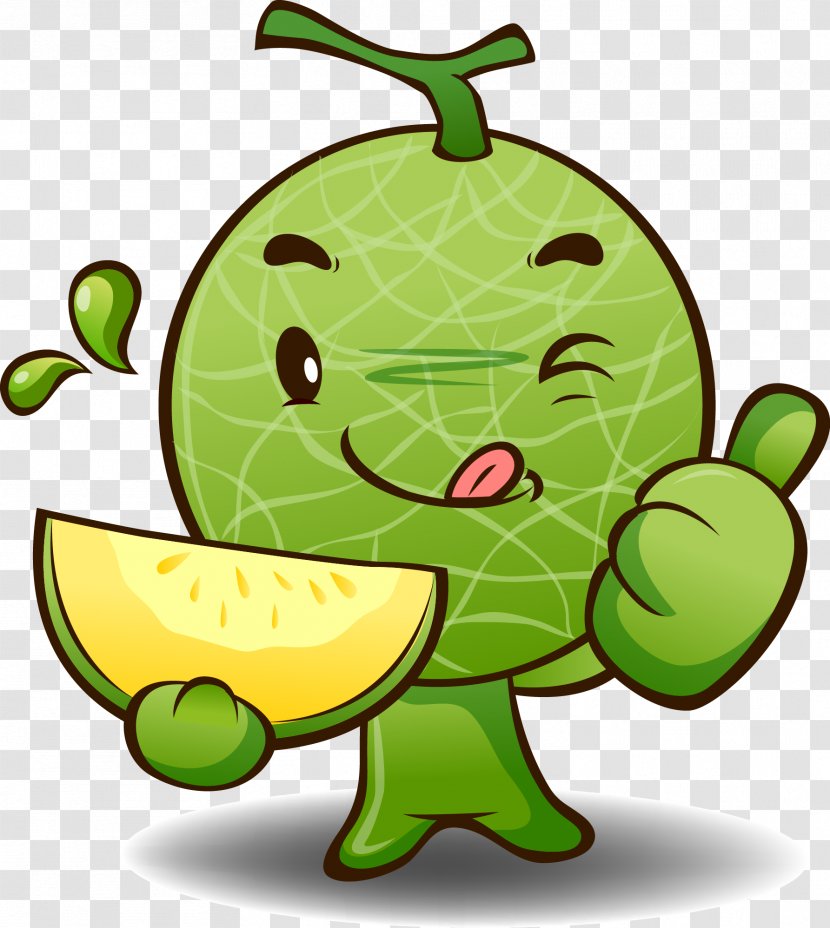 Cartoon Fruit - Tortoise - Green Hami Melon Characters Transparent PNG