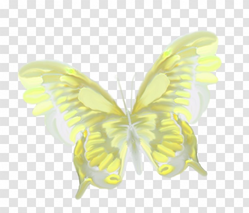 Beautiful Butterfly - Butterflies And Moths - Yellow Transparent PNG