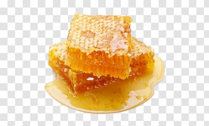 Honey Bee Honeycomb Raw Foodism - Eating Transparent PNG