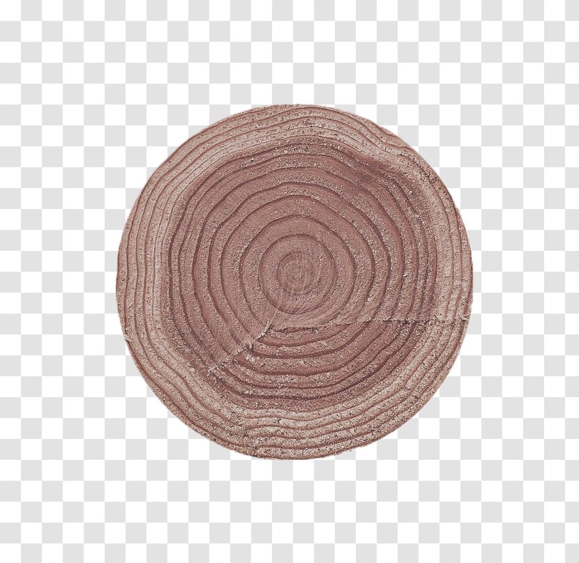 Tree Shayla Bark Aastarxc3xb5ngad Circle - Details Of Carbonized Wood Transparent PNG