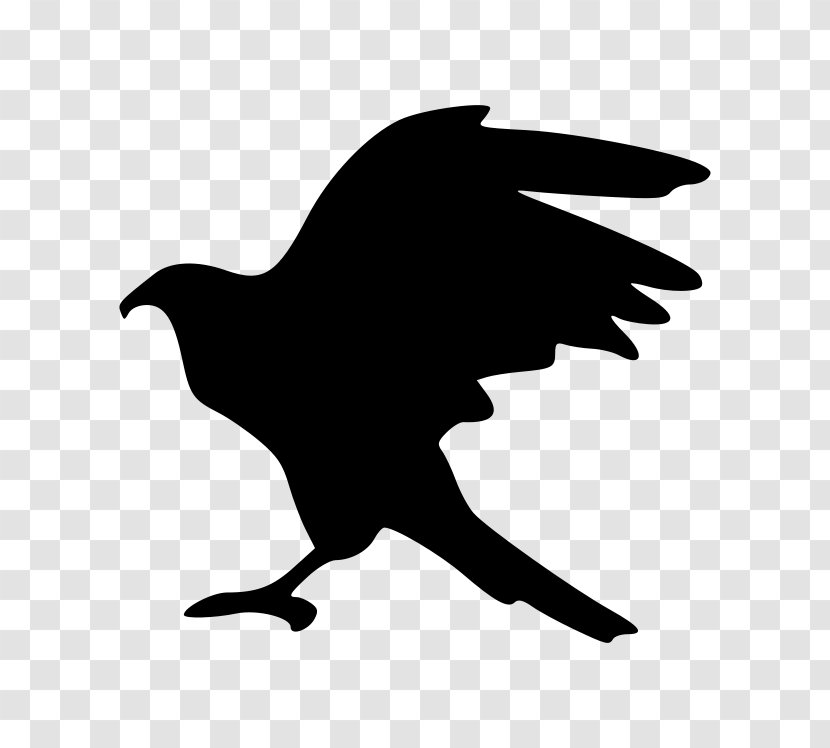 Bird Hawk Eagle Clip Art - Monochrome Photography Transparent PNG