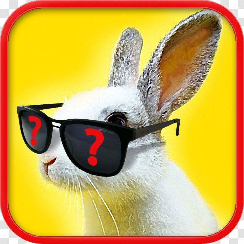 Domestic Rabbit Easter Bunny Glasses Hare - Vision Care Transparent PNG