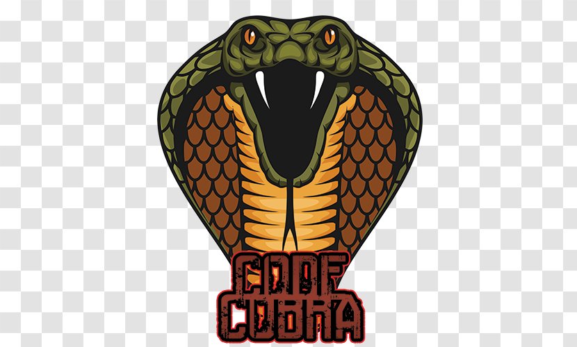 Snake Vipers King Cobra Royalty-free - Fauna Transparent PNG