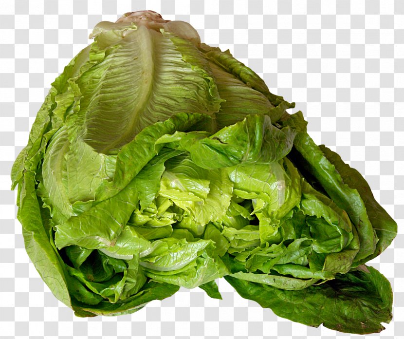 Vegetarian Cuisine Romaine Lettuce - Food Transparent PNG