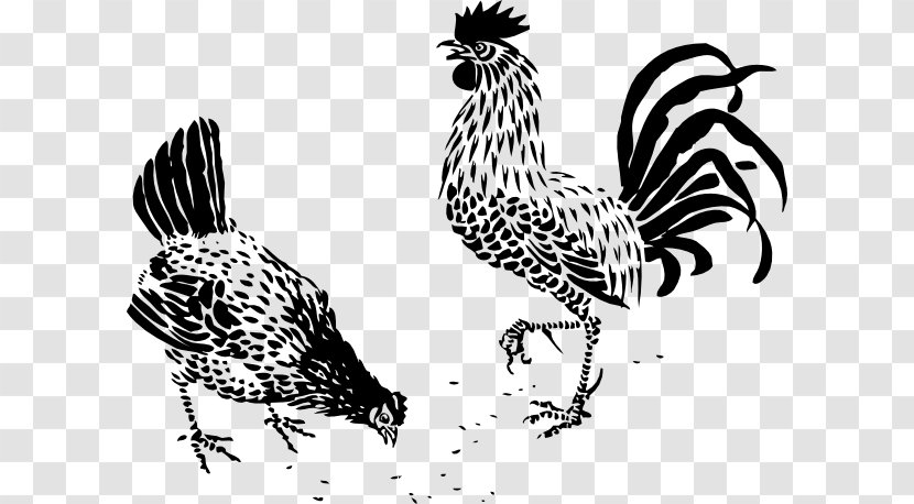 Dorking Chicken Rooster Drawing Poultry Galliformes - Feather - Stencil Transparent PNG
