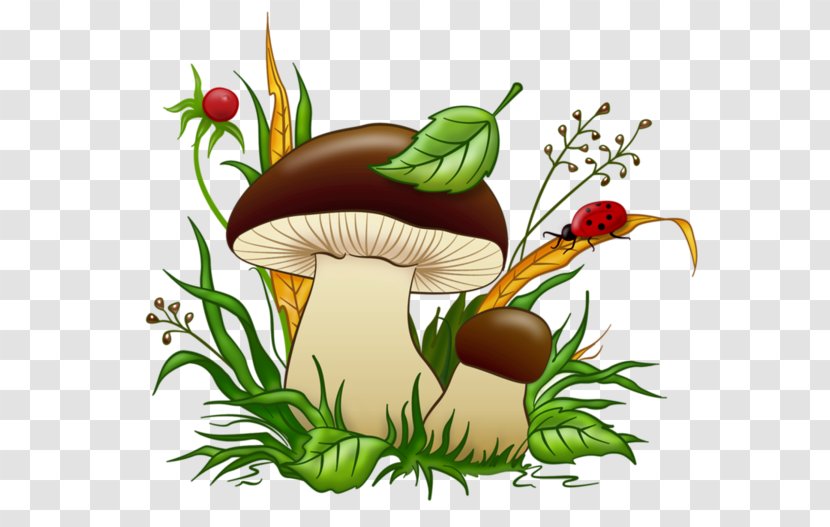 Lactarius Deliciosus Boletus Edulis Edible Mushroom Fungus - Aereus Transparent PNG
