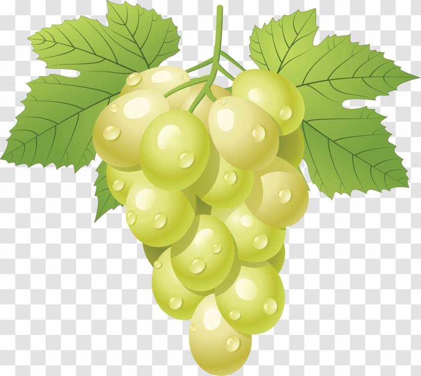 Grape Clip Art - Juice - Green Image Transparent PNG