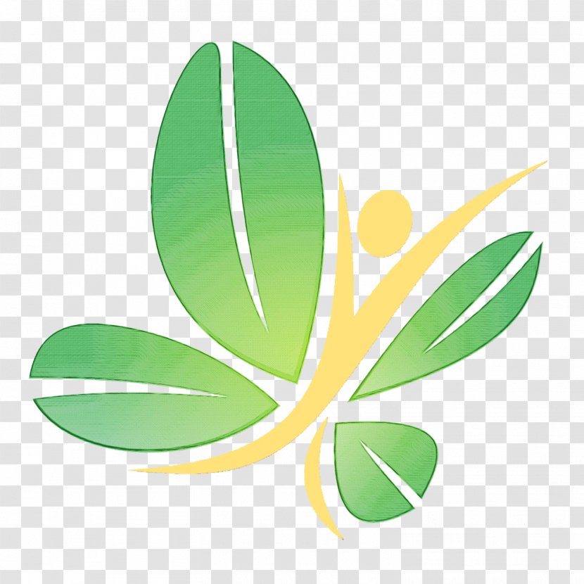 Green Flower - Light Therapy - Eucalyptus Transparent PNG